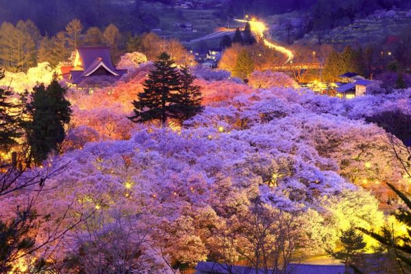 春が来た おいでな高遠さくら祭り イベント情報 銀座nagano しあわせ信州シェアスペース