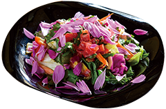 オーガニック野菜の彩り山盛りサラダ画像